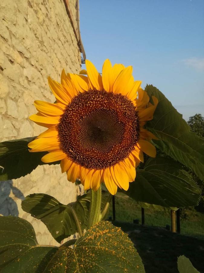 Bed and Breakfast Casale Monte Valestra Bebbio Екстер'єр фото