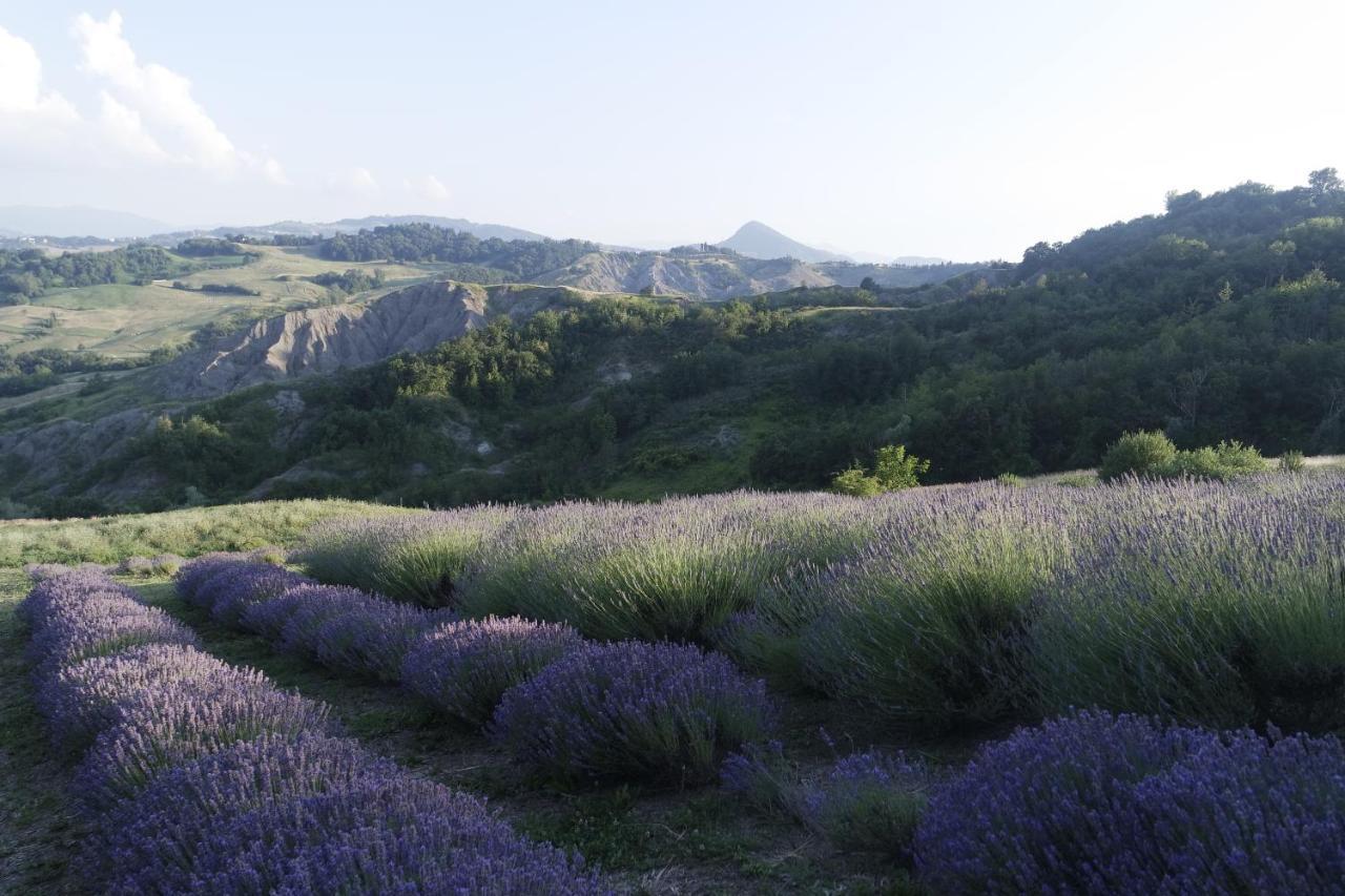 Bed and Breakfast Casale Monte Valestra Bebbio Екстер'єр фото