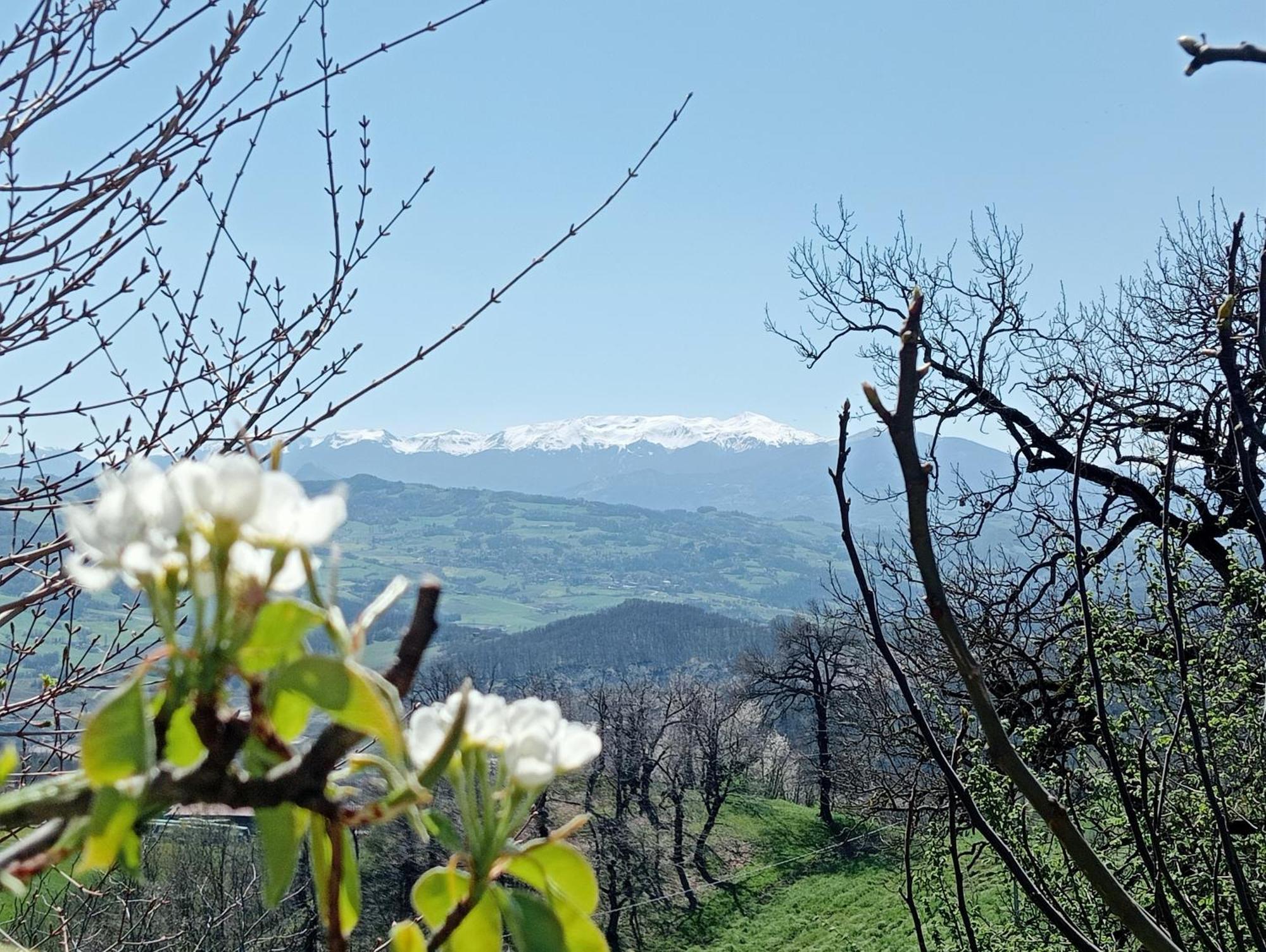 Bed and Breakfast Casale Monte Valestra Bebbio Екстер'єр фото